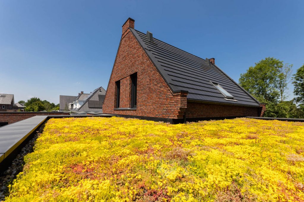 FotovanDana-LR-Schurink ZOBeemster-1775