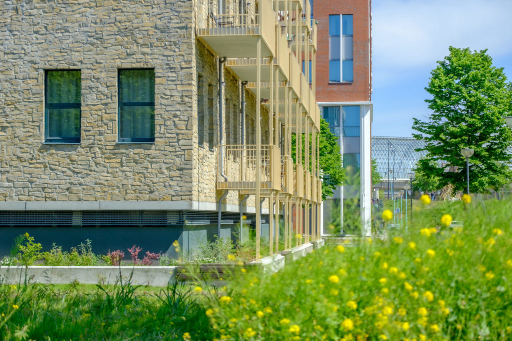 ∏Richard Rood HR2 14-05-2019-7240