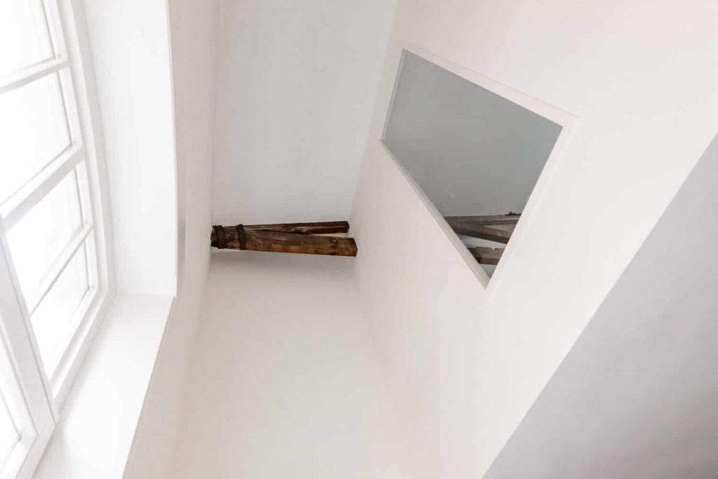 FotovanDana-LR-Harmonie-0198