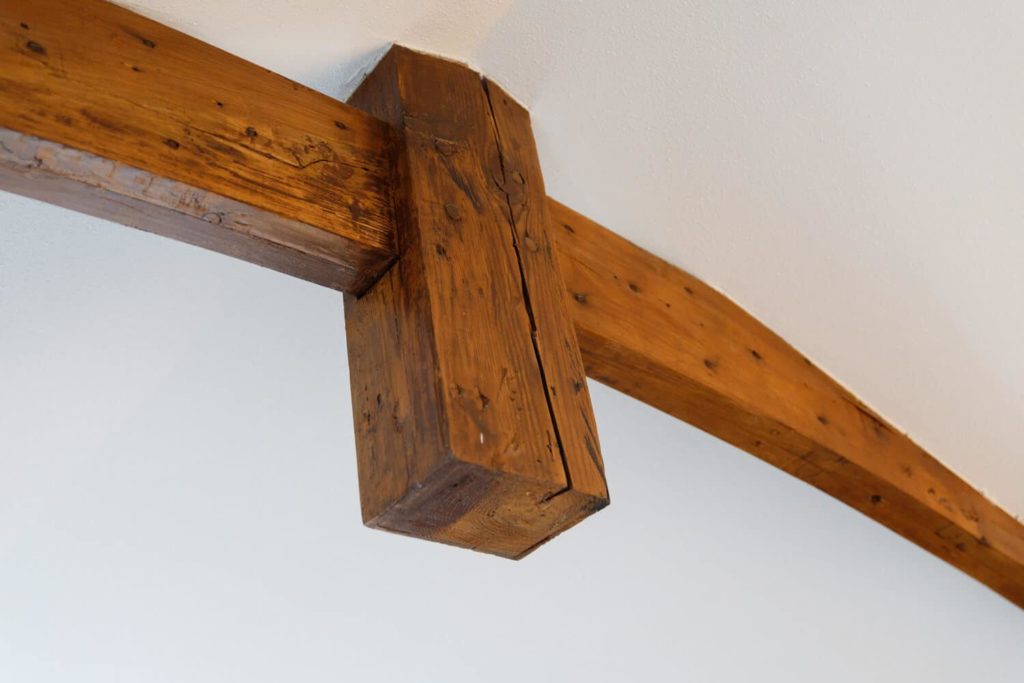 FotovanDana-LR-Harmonie-0237