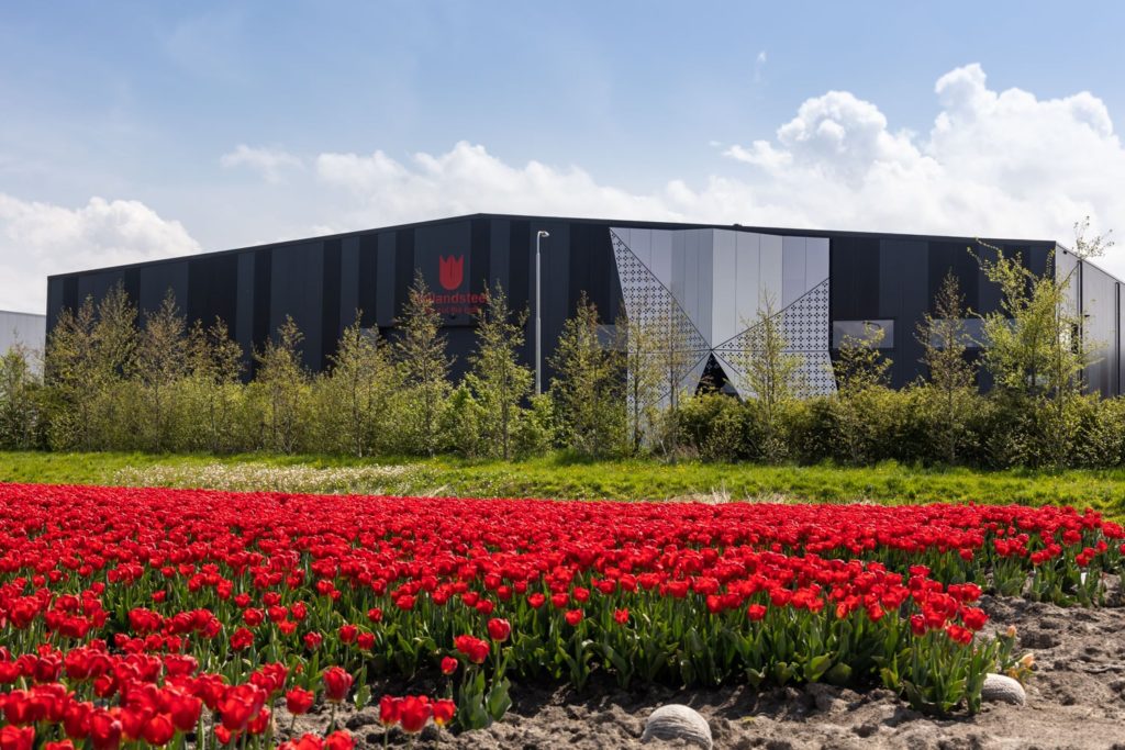 FotovanDana-LR-Holland Steel-7337