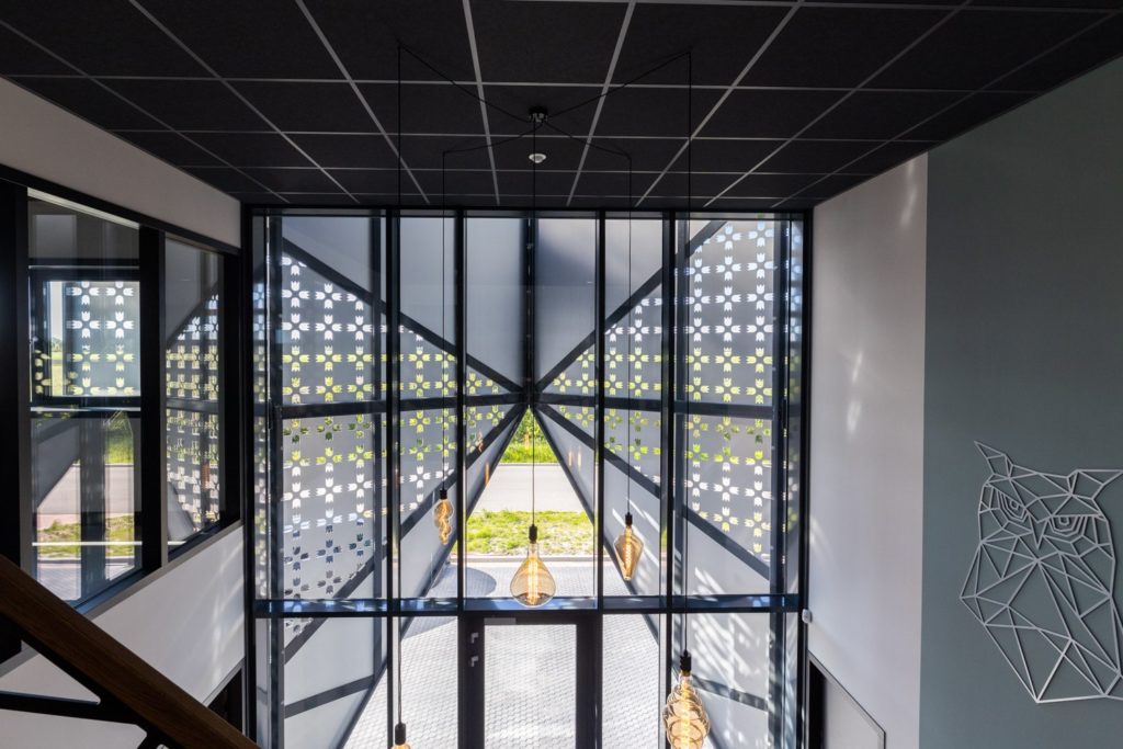 FotovanDana-LR-Holland Steel-9204