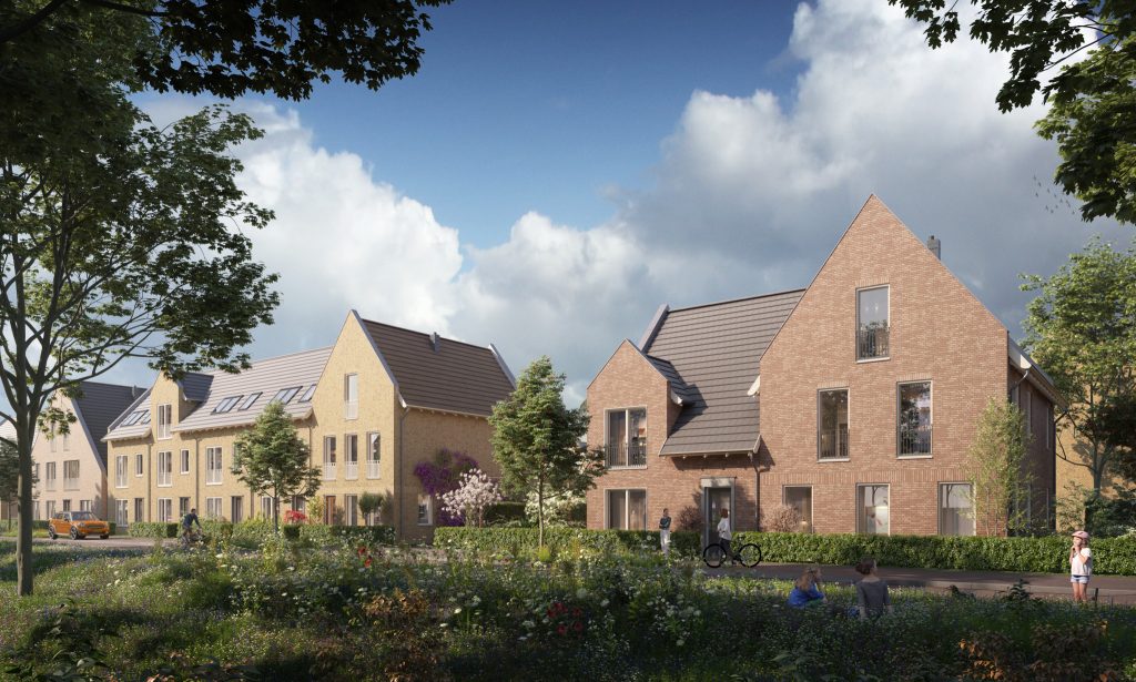 31573 - Ext 06-small