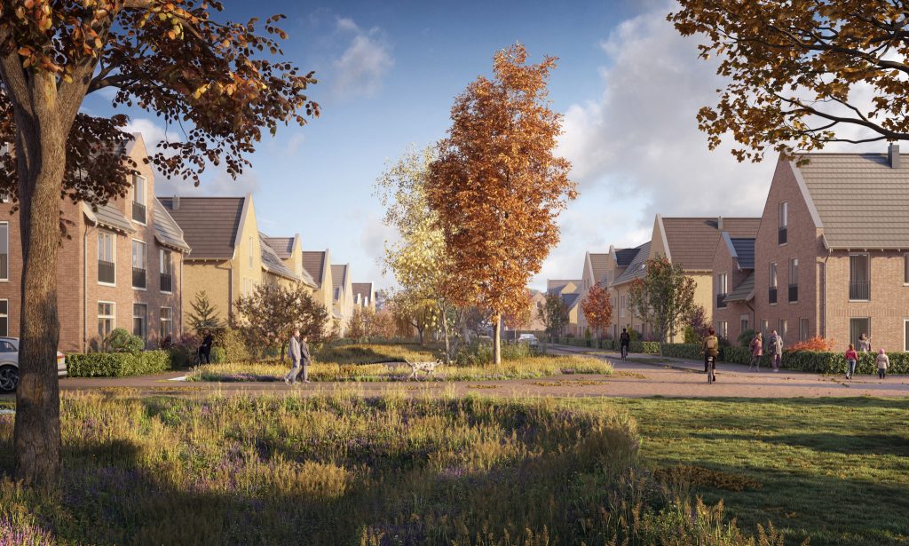 31573 - Ext 12-small