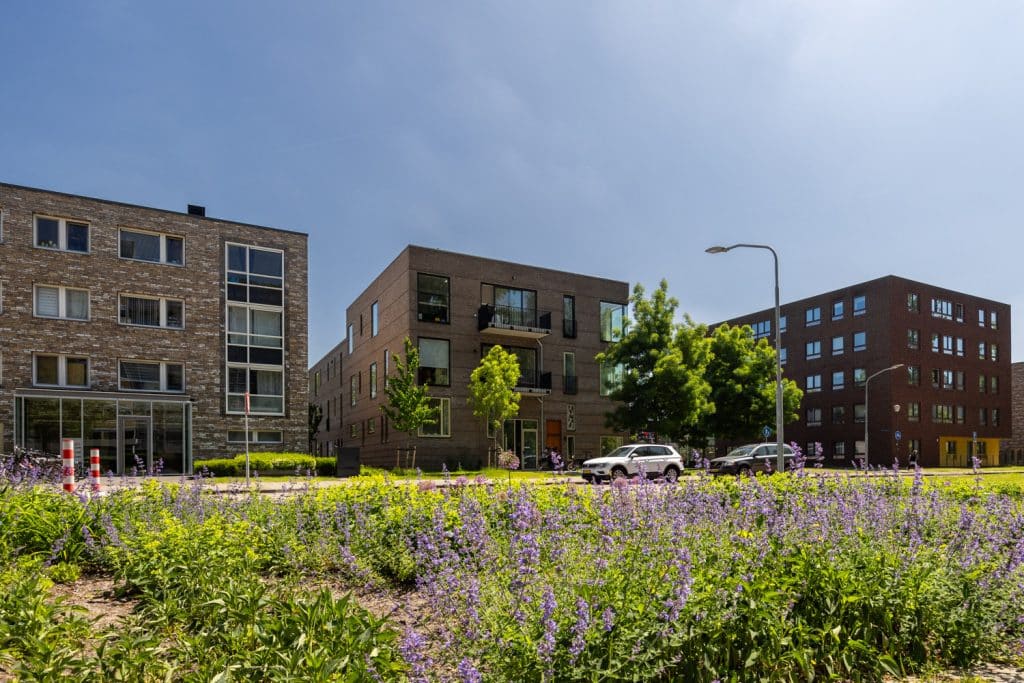 FotovanDana-LR-GroeneHofjeHaarlem-0544